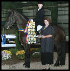 Dressage Champion IFSHA Nat 2007